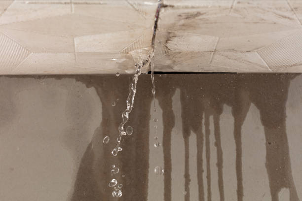 Professional Burst Pipe Cleanup technician working in Rushford, MN